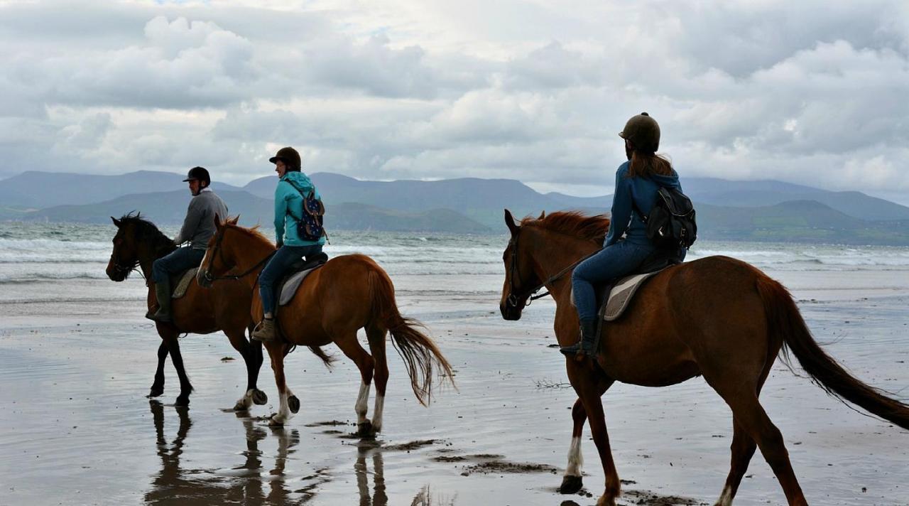 Wild Kerry Lodge Glenbeigh Esterno foto